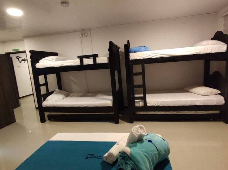 پانسیون Galyrod House