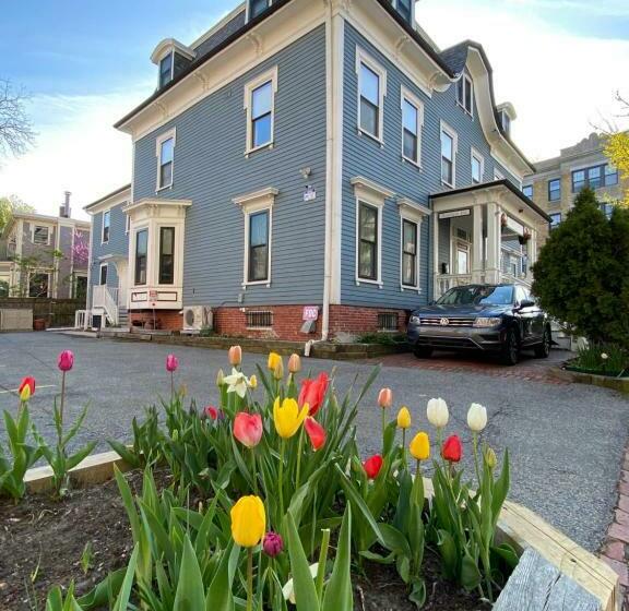 فندق صغير Ginkgo House On Harvard