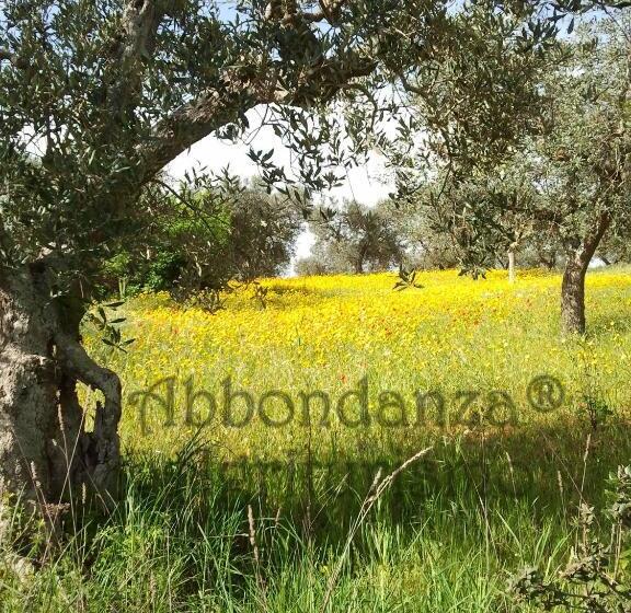 پانسیون Room In B&b   Abbondanza® The Farm House