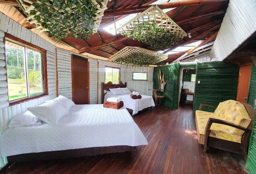 ペンション Room In Lodge   Tree House Finca La Floresta Verde