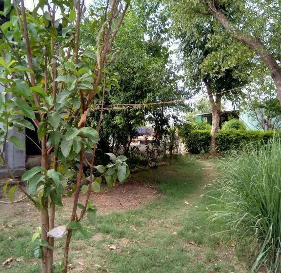 ホテル Tranquility Homestay