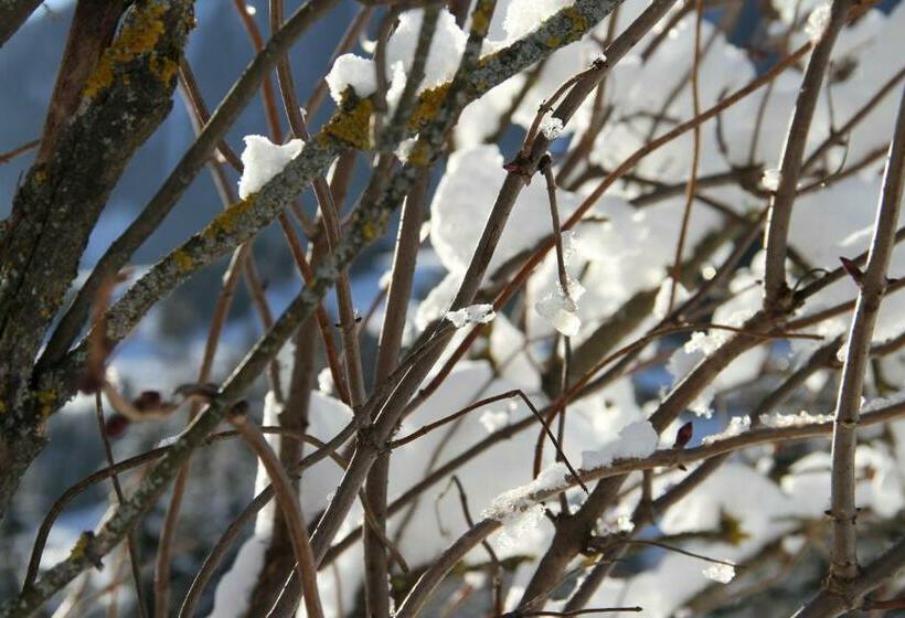 פנסיון La Lum De Roisc