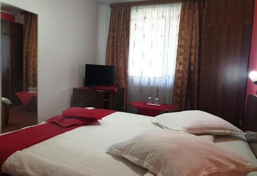 Bed and Breakfast Pensiunea Odn
