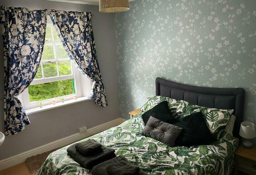 ベッドアンドブレックファースト The Dartmoor Bnb