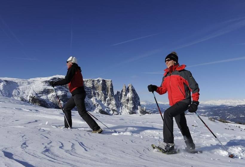 هتل Abinea Dolomiti Romantic Spa
