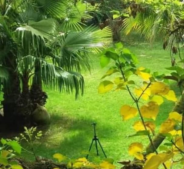 هتل Hôtel Du Patriarche