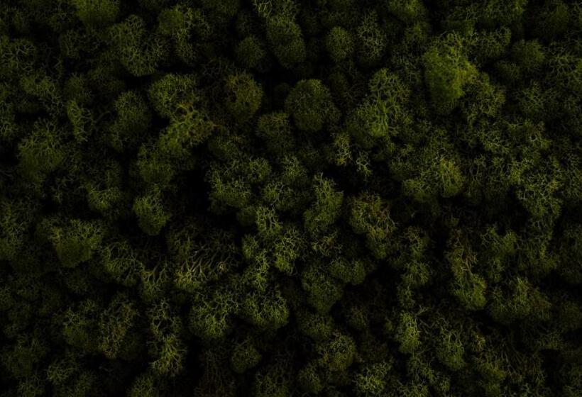 ホテル Logement Overzee