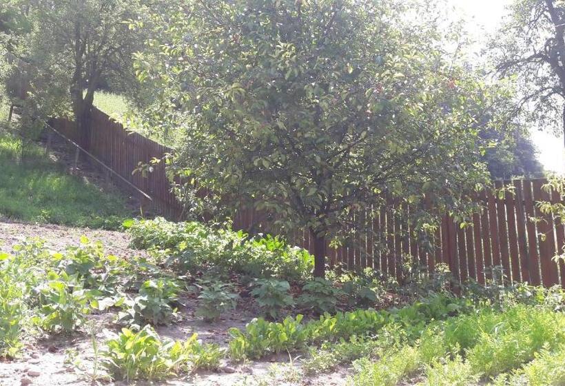 Pension Cartref