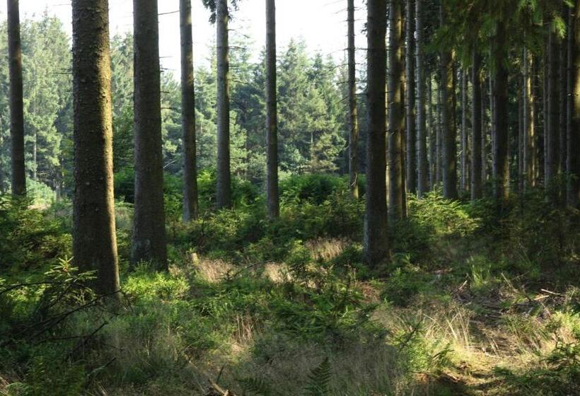 بنسيون Le Clos Du Cerf   Le Sous Bois