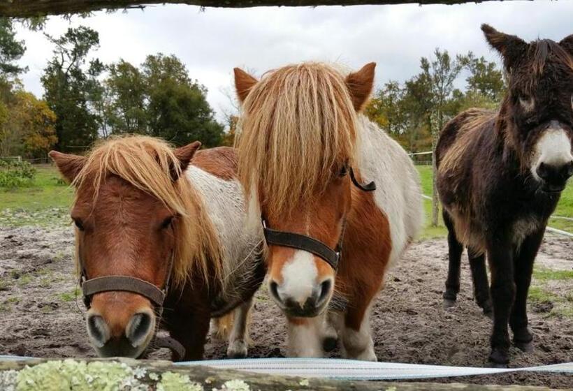 ペンション Le Gahoun   Chambres D Hôtes