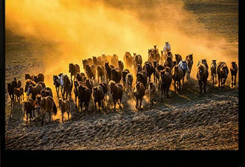 فندق Royal Garden Kisarazu / Vacation Stay 71705