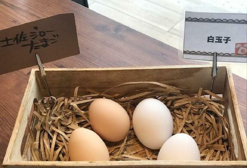 ホテル Sunriver Shimanto / Vacation Stay 71322