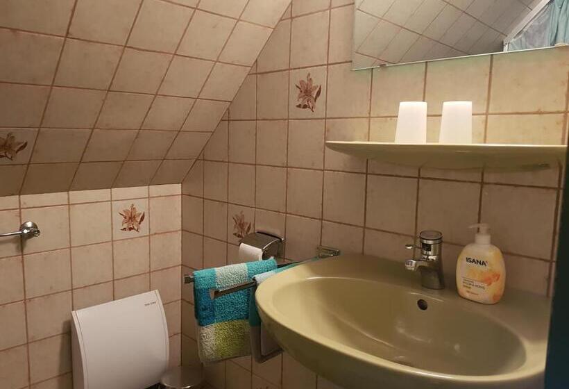 مبيت وإفطار Hausnordlicht Dachspitze