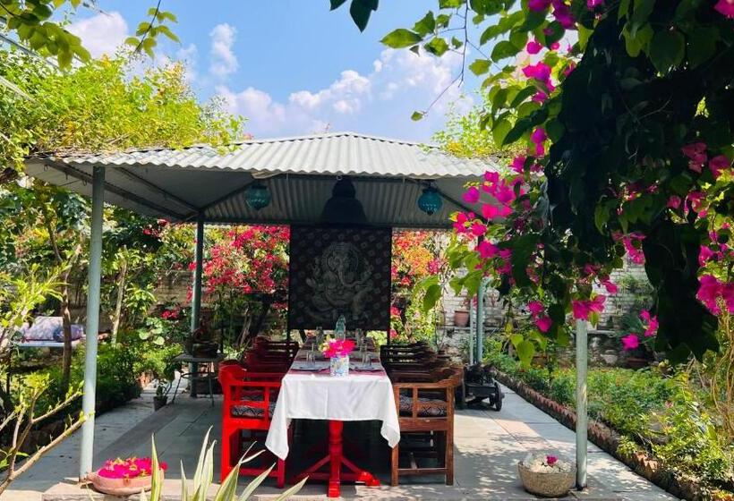 膳宿费 Mosaics Guest House
