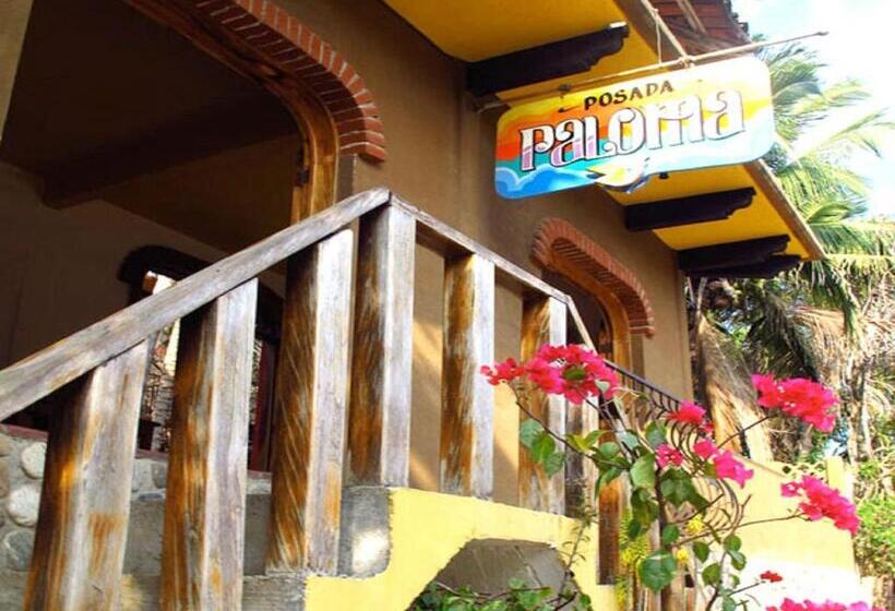 فندق صغير Posada Paloma