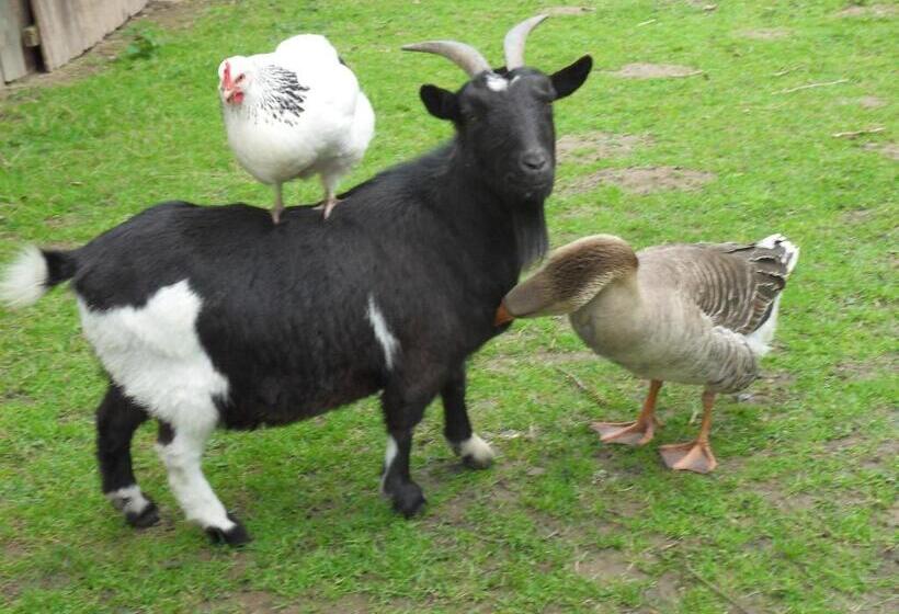 مبيت وإفطار Les Roulottes Des Songes De L Authie