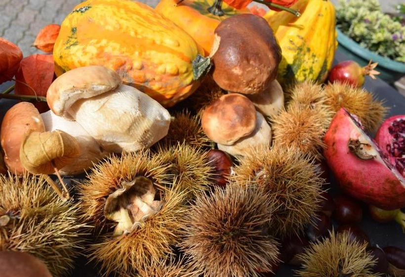 酒店 Albergo Canella