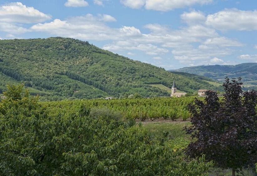 ホテル Hôtel Des Vignes