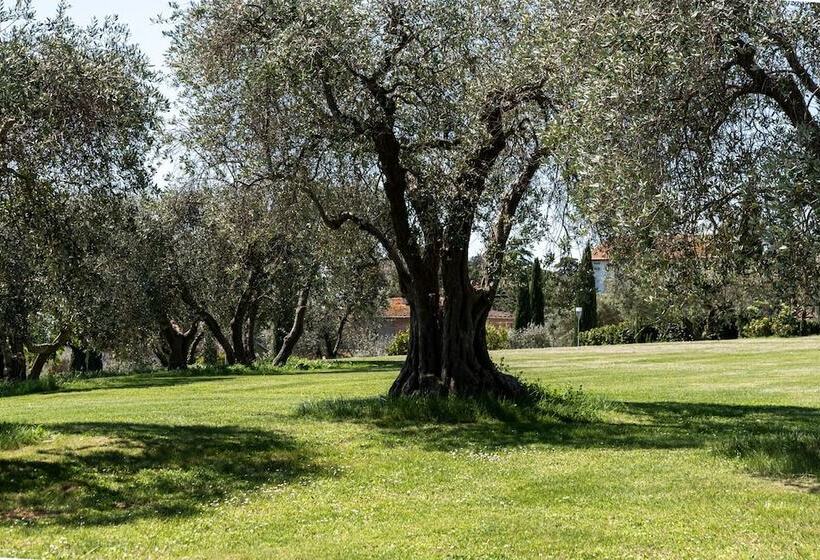 ホテル Locanda Poggioleone