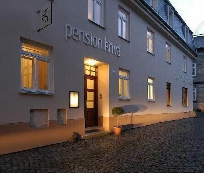 Pension Křivá