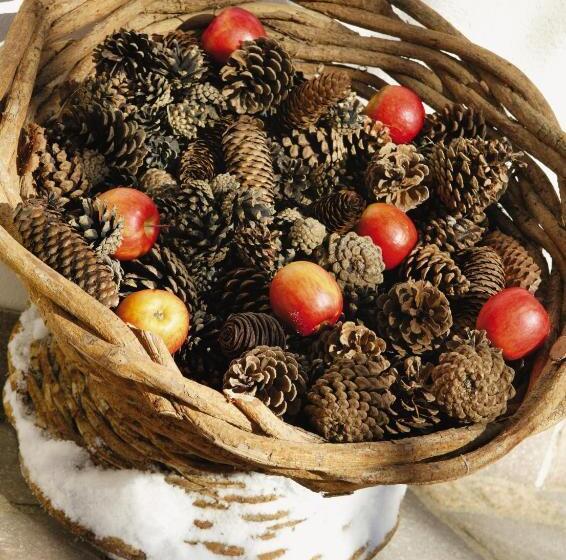 Appartement Hotel Garni Matthäuserhof