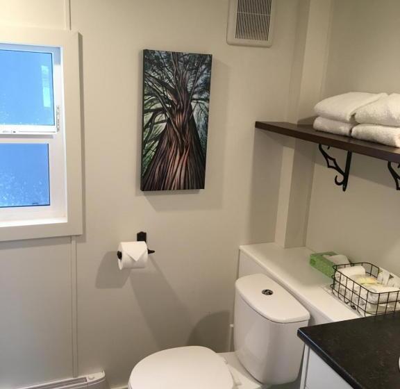 酒店 Tiny Homes By Snow Valley Lodging