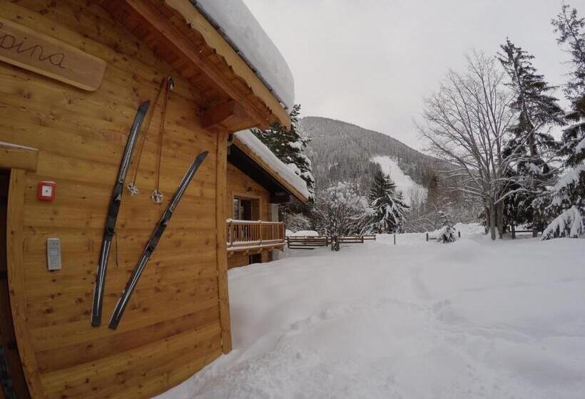 Chalet Alpina Hotel & Apartments