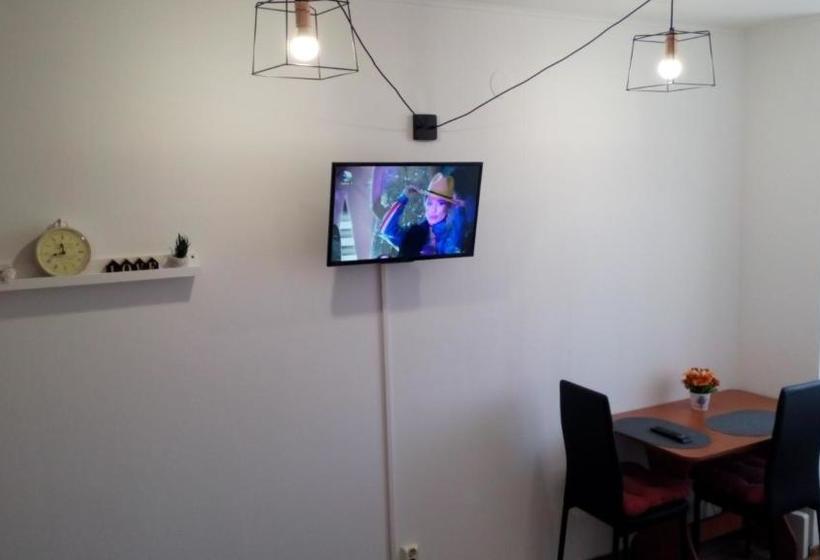Hostel Elvetia