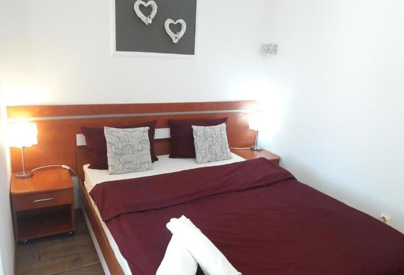 Hostel Elvetia