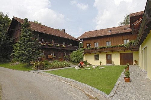 4 Pfoten Resort