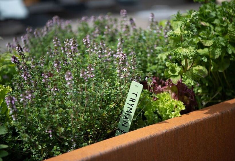 ホテル Schweizerhof