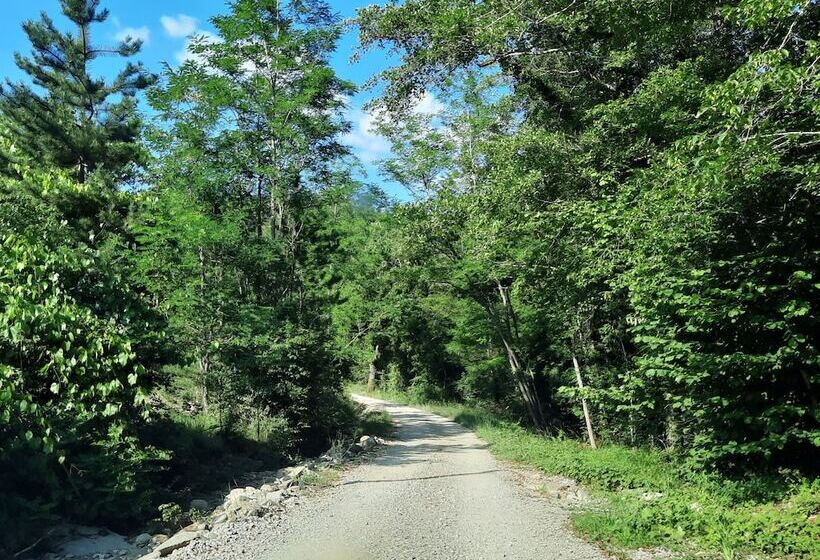 فندق Borgo Livernano
