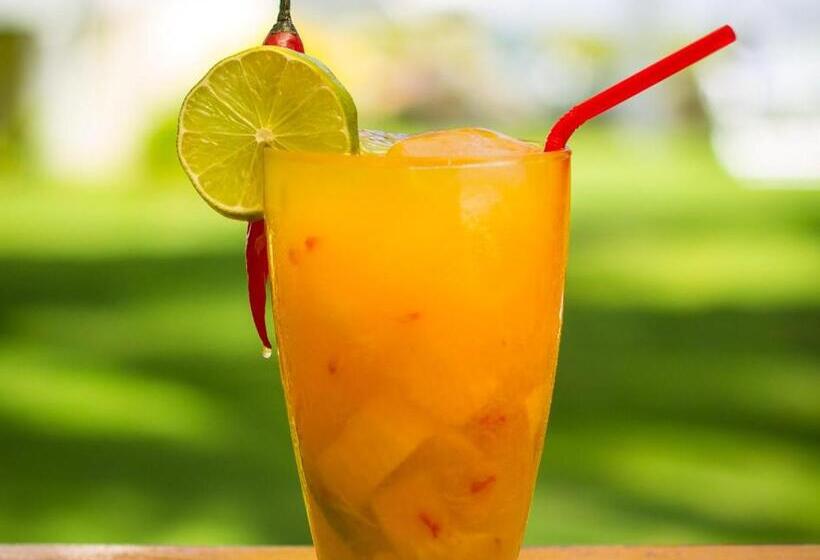 ホテル Praiagogi Boutique Pousada