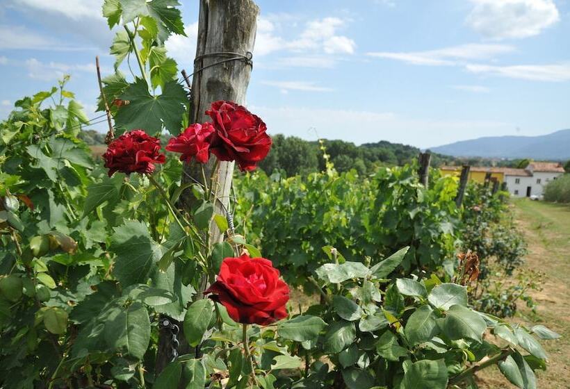 هتل Agriturismo Corte Benedetto