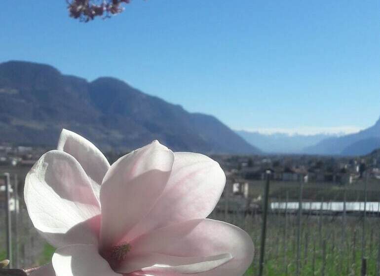 Ruster Resort