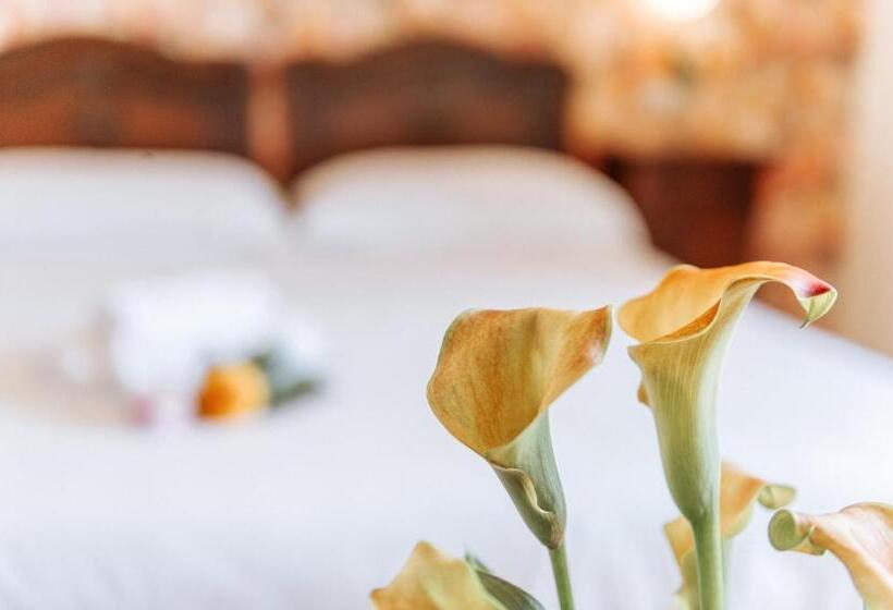 בית מלון כפרי Aganoor