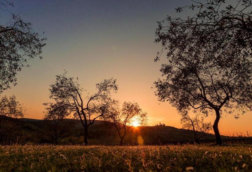 فندق Agriturismo Il Segreto Di Pietrafitta