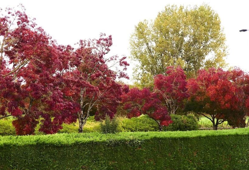 בית מלון כפרי Contact Hôtel Le Provençal Bordeaux Lac