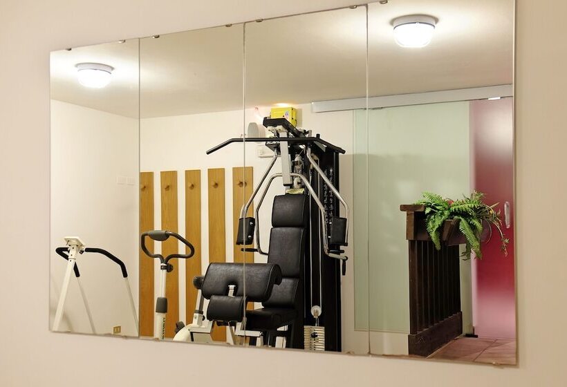 هتل Dolomites Inn