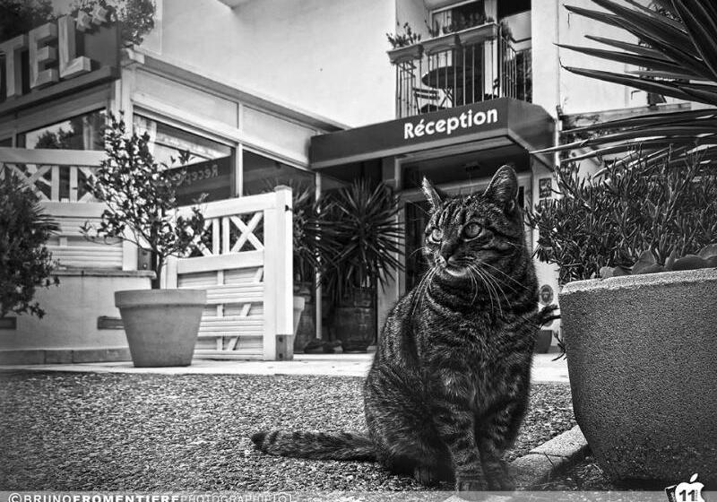 فندق Le Mediterranee