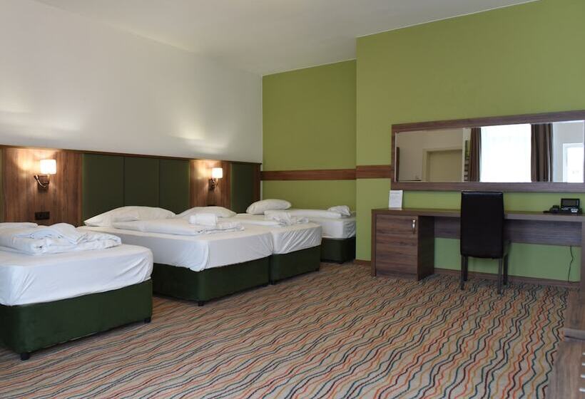 Отель Olive Inn