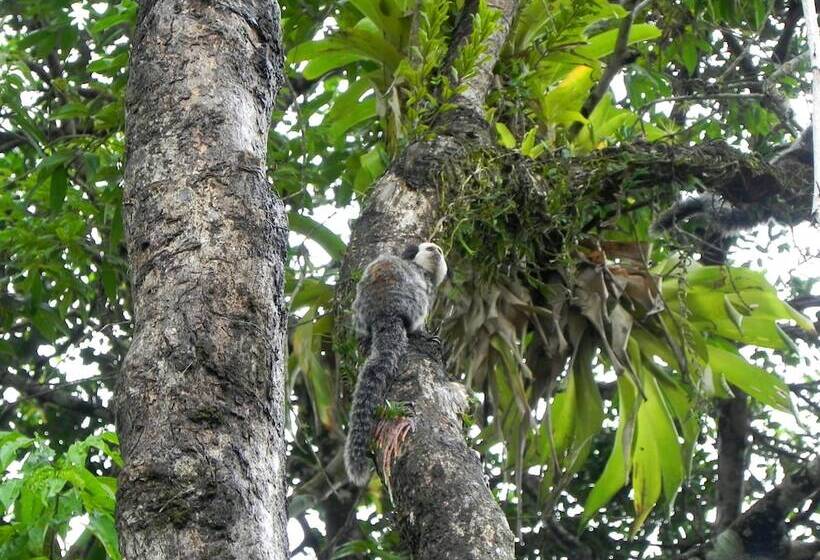 هتل Pousada Jardim Das Margaridas
