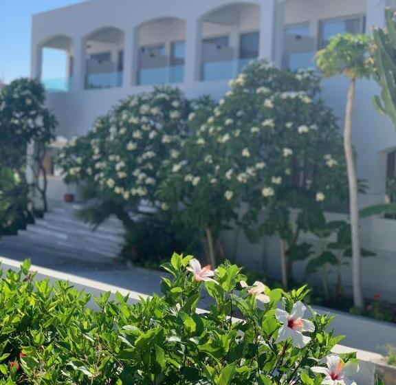 Pals Studios Pefkos