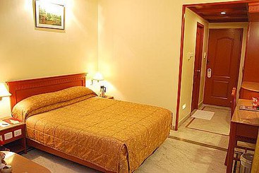 Fotos del hotel Raj Palace:  5