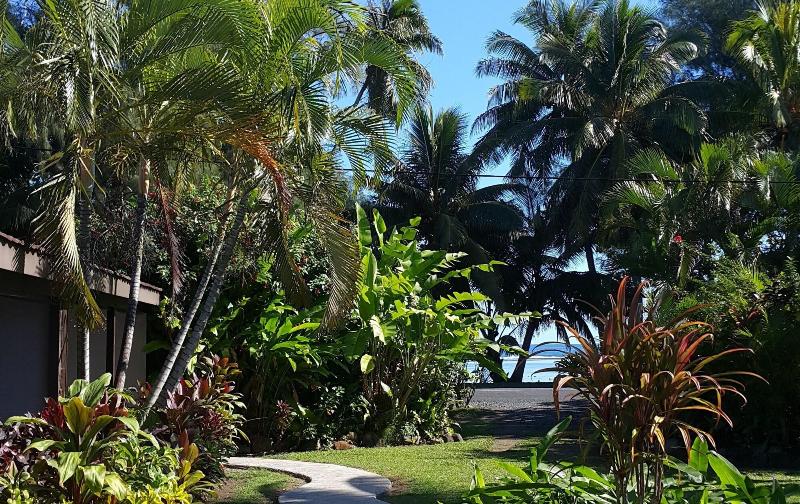 استراحتگاه The Black Pearl Beach Side Apartments