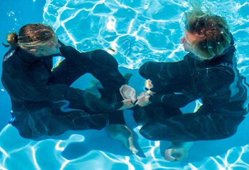 هاستل Ahoy Surf House