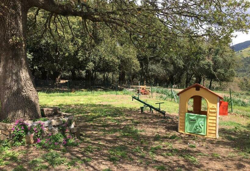 호텔 Azienda Agrituristica S Argalasi   B&b   Affittacamere Loc S Argalasi Austis