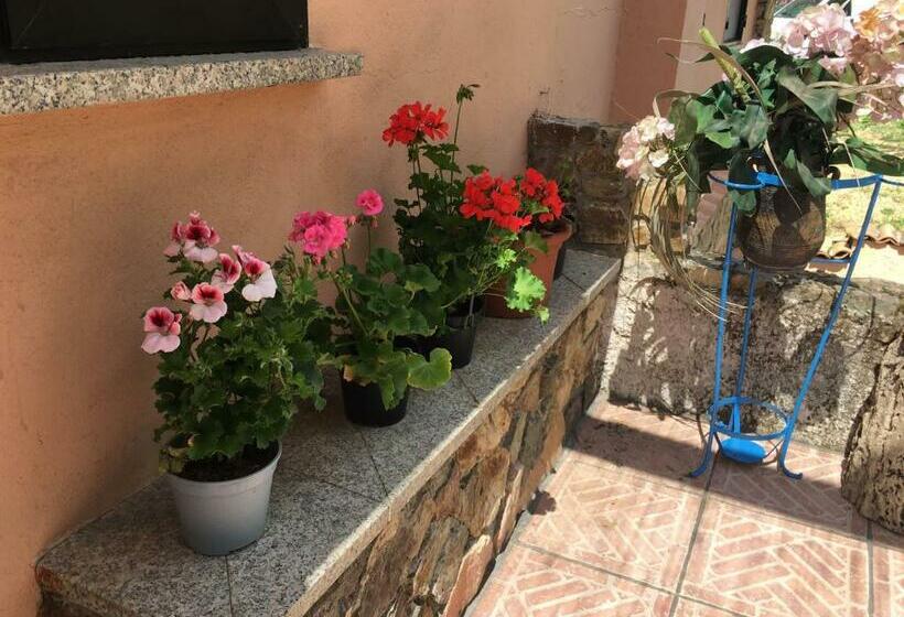 호텔 Azienda Agrituristica S Argalasi   B&b   Affittacamere Loc S Argalasi Austis