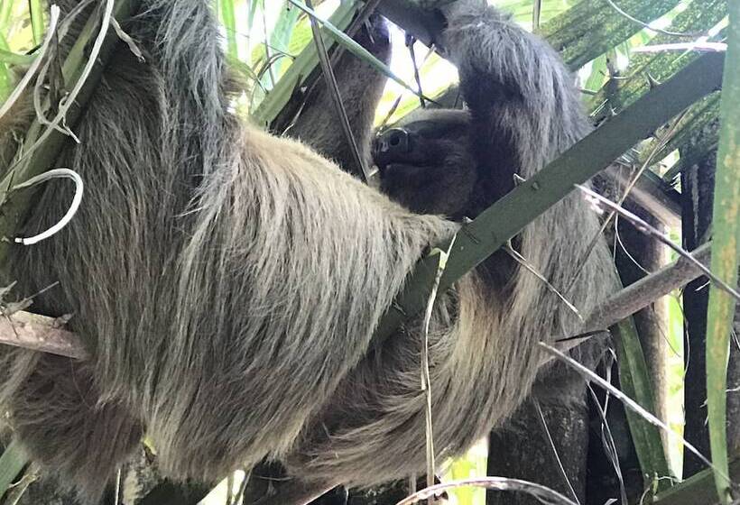 호텔 Clandestino Beach