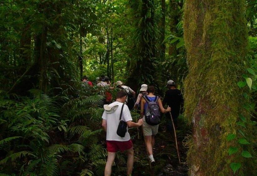 Kosrae Nautilus Resort
